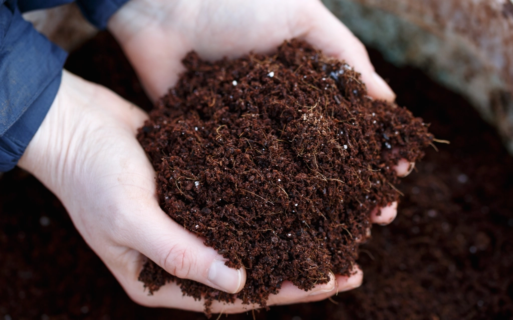 Tree Fertilization Austin
