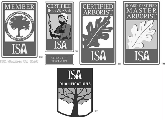 arborist tree service