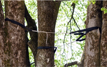 clear quotes and scheduling