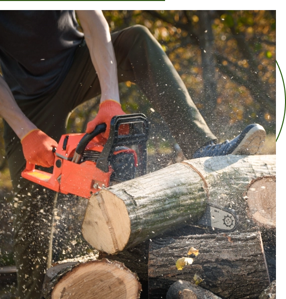 Tree Services Westlake