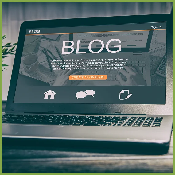 How Soil Composition in the Texas Hill Country Affects Tree Health—and What You Can Do About It