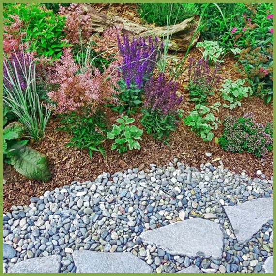 Your Expert Tree Removal Services in Spicewood, Dripping Springs, Driftwood, and Wimberley, TX