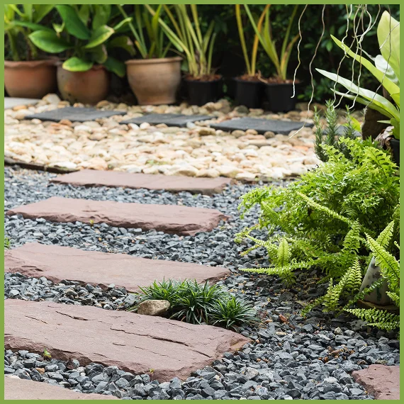 Certified Arborists for Urgent Tree Emergencies