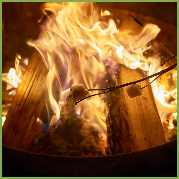 Oak and Pecan Firewood for Sale