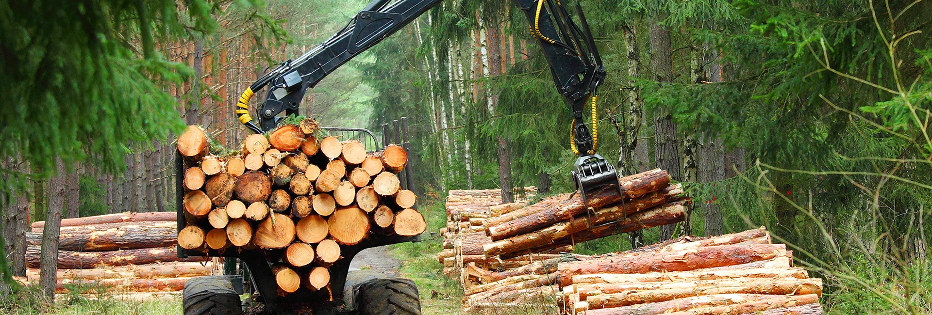 Firewood Dripping Springs