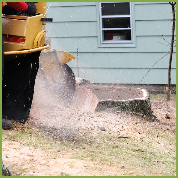 Flexible Stump Grinding Depth Options