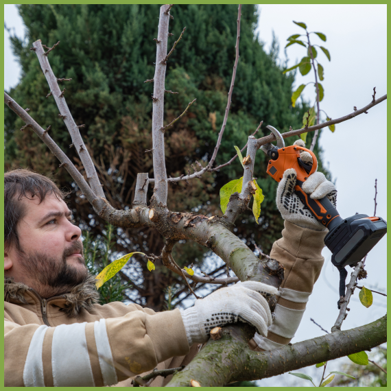 Complete Tree Pruning Solutions for Healthier, Safer Trees