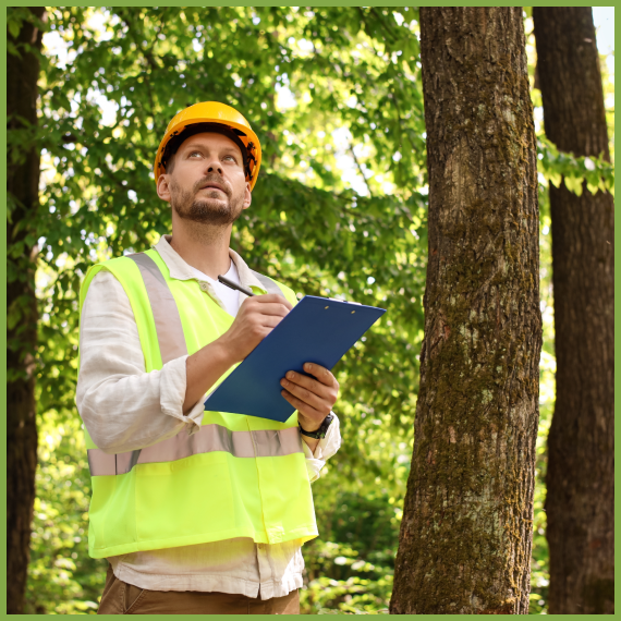 On-Site Pruning Assessments & Clear Estimates