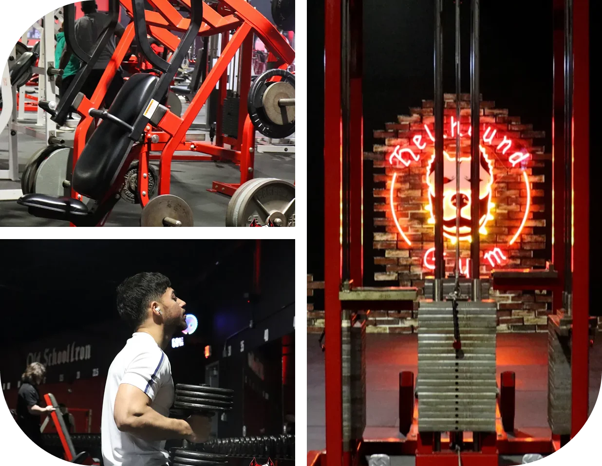 Fitness Training Humble