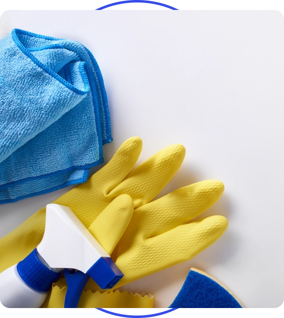 Professional Cleaners