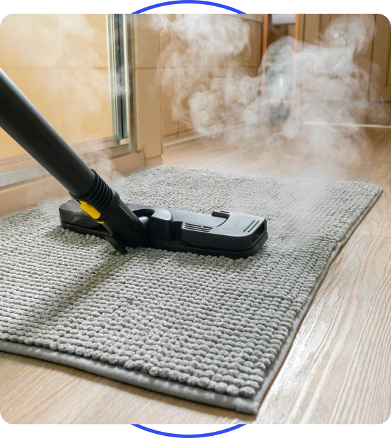 Carpet Sanitizing & Stain Protection Services