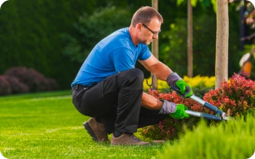 Landscaping Services