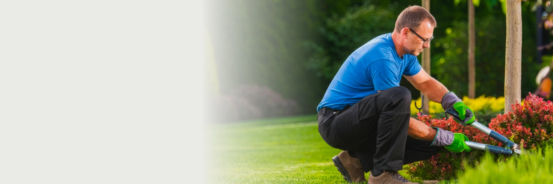Landscaping Services in the GTA