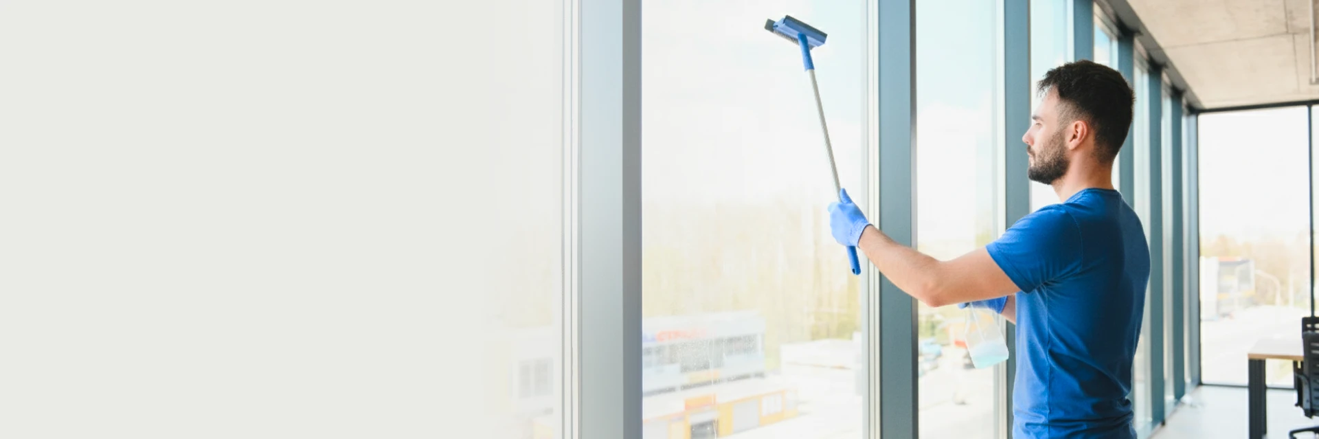 Window Cleaning Services