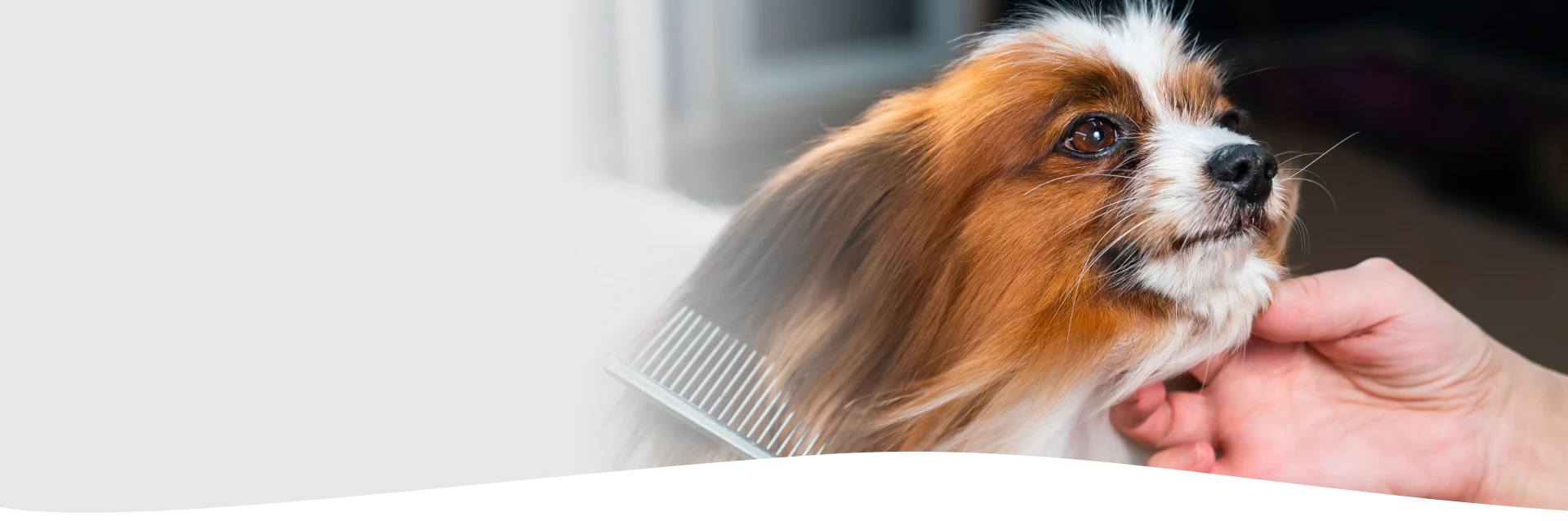 high touch grooming