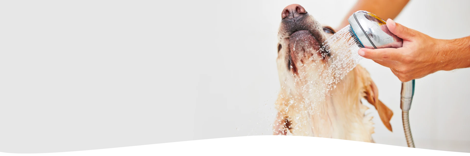 Deluxe Dog Wash