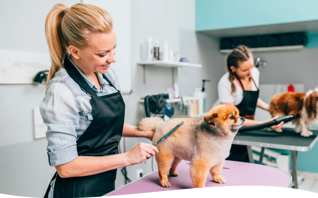 Quick Dog Grooming
