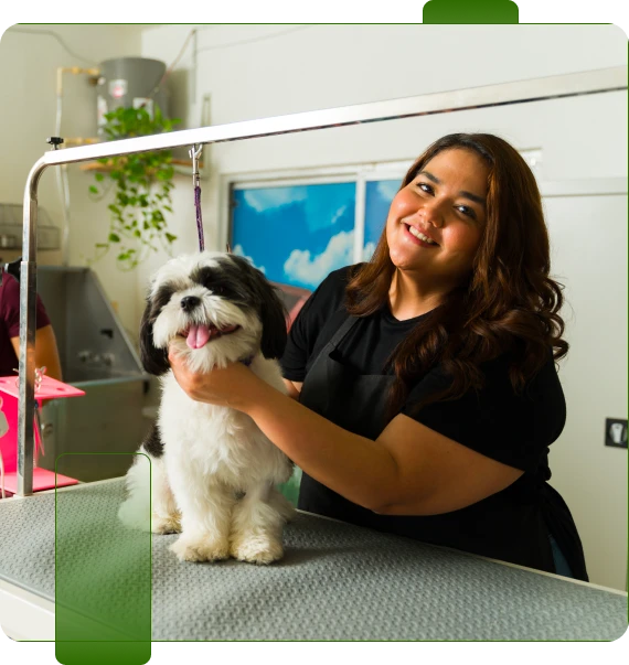Dog Groomer Training
