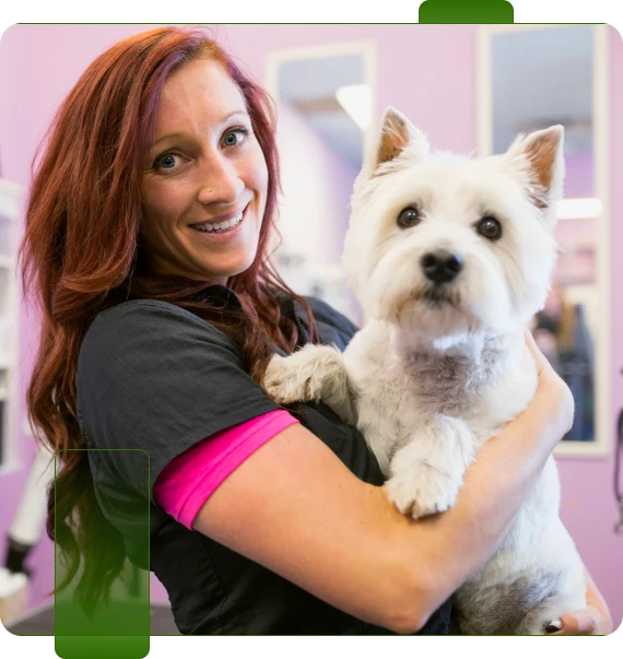 Dog Groomer Training
