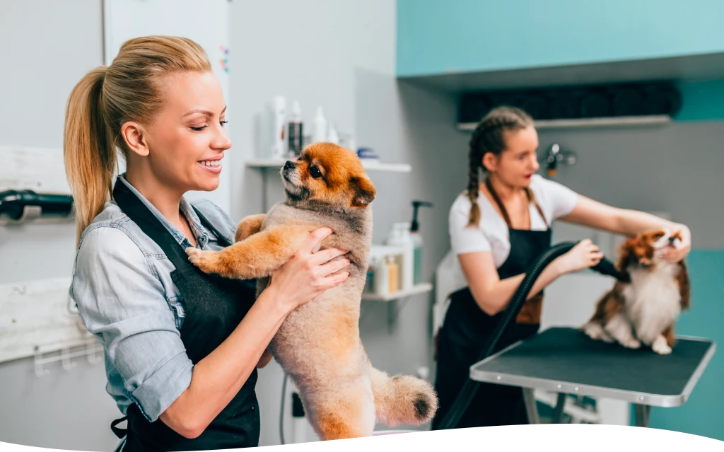 Dog Groomer Training