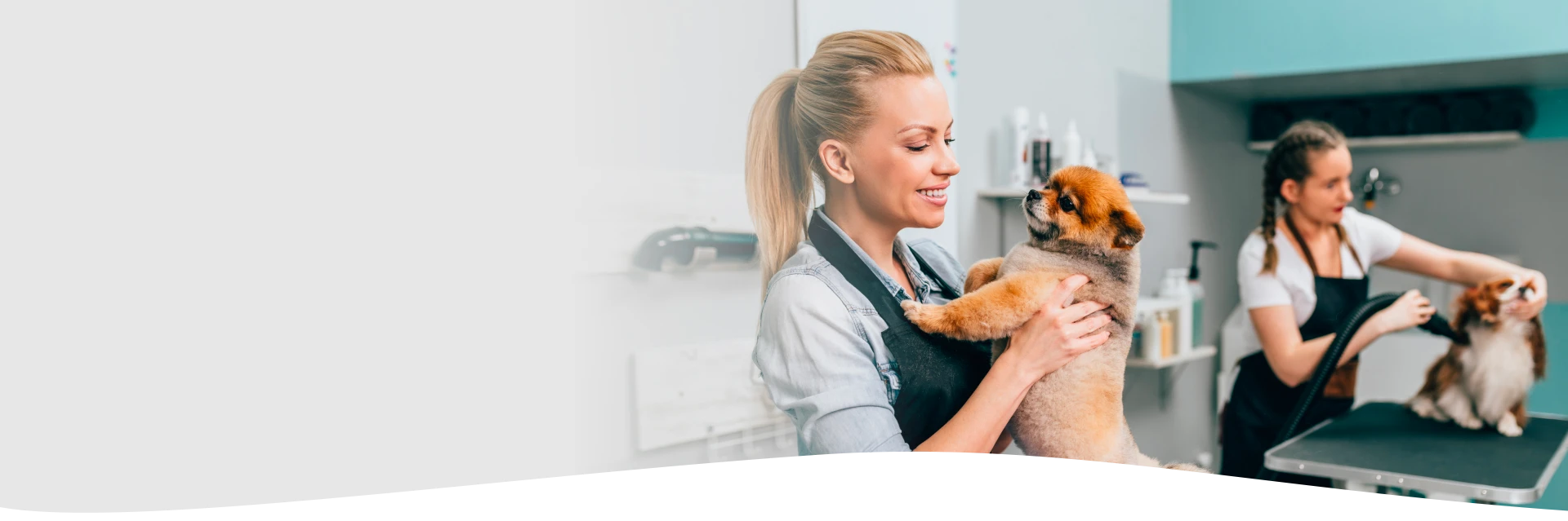 Dog Groomer Training