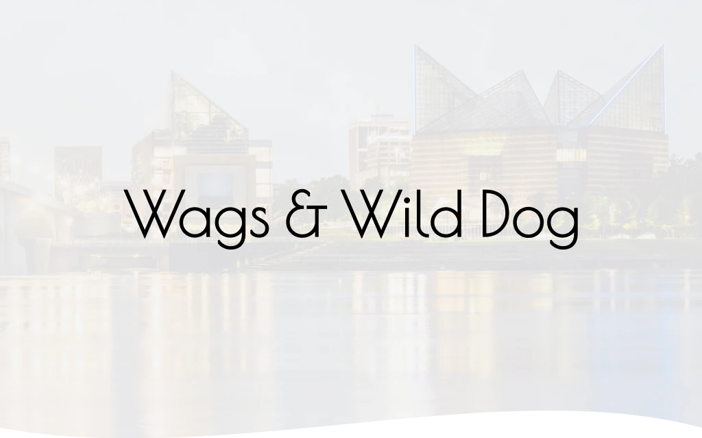 Dog Grooming Chattanooga
