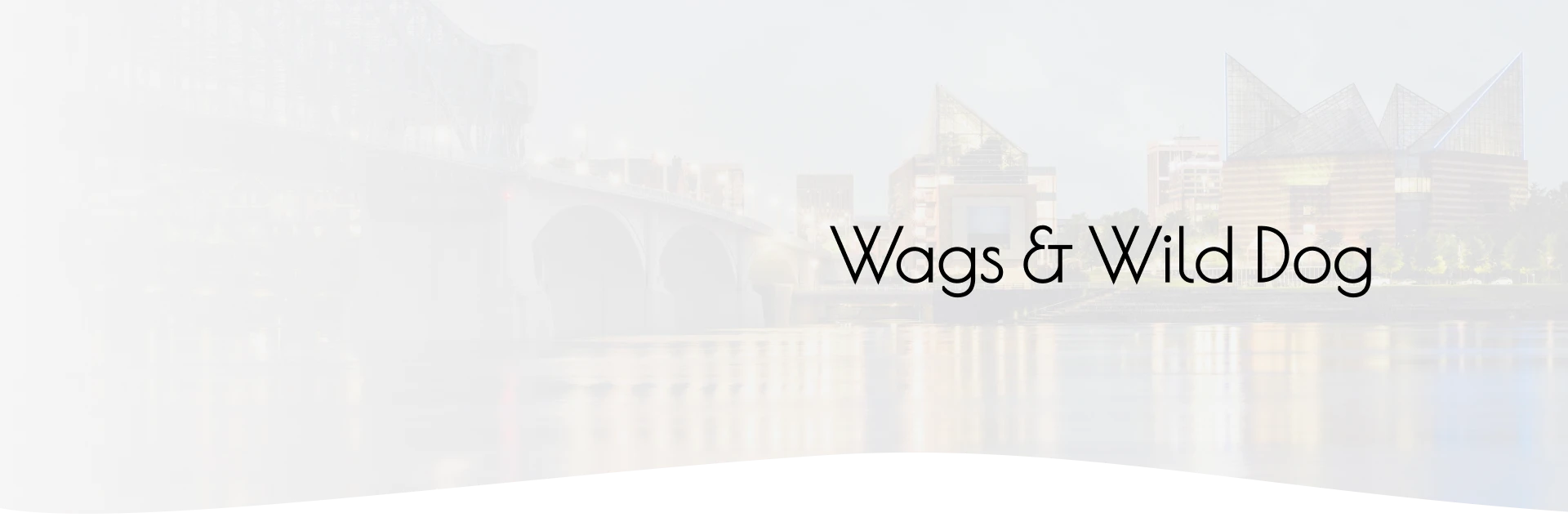 Dog Grooming Chattanooga