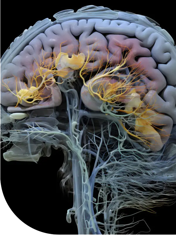 Emergency Management App