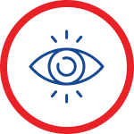 Vision Statement