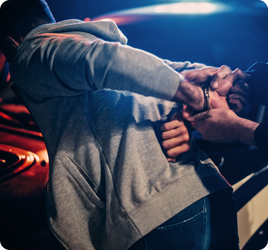 Negotiation, Plea, and Mitigation Support 