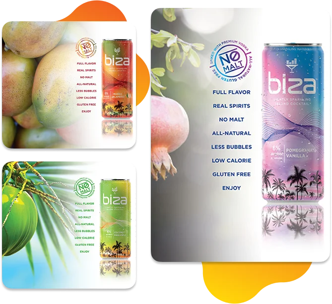 The Story Behind Biza