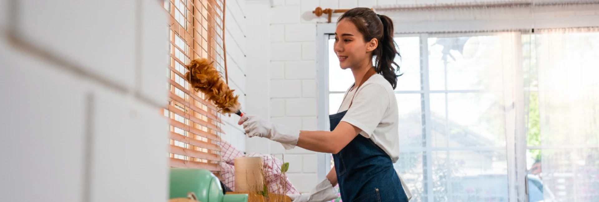 House Cleaning Services Bellevue