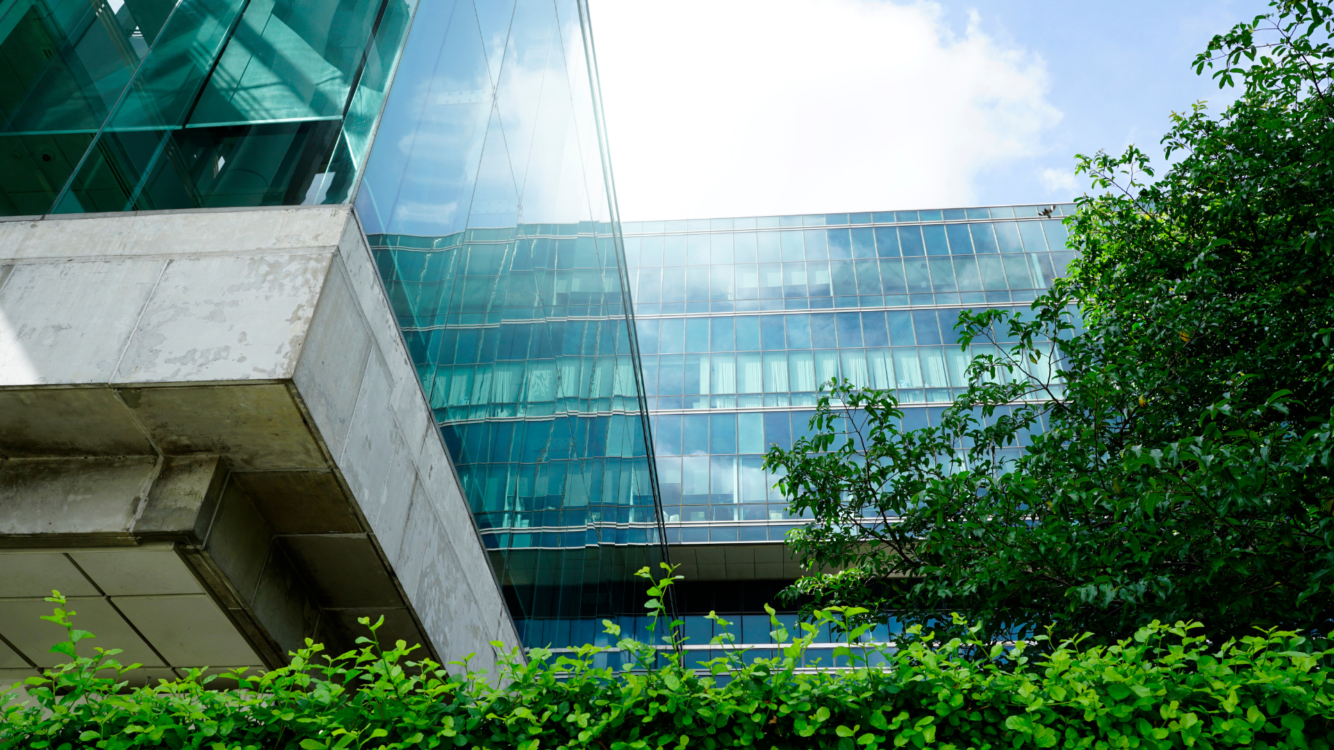 sustainability reporting