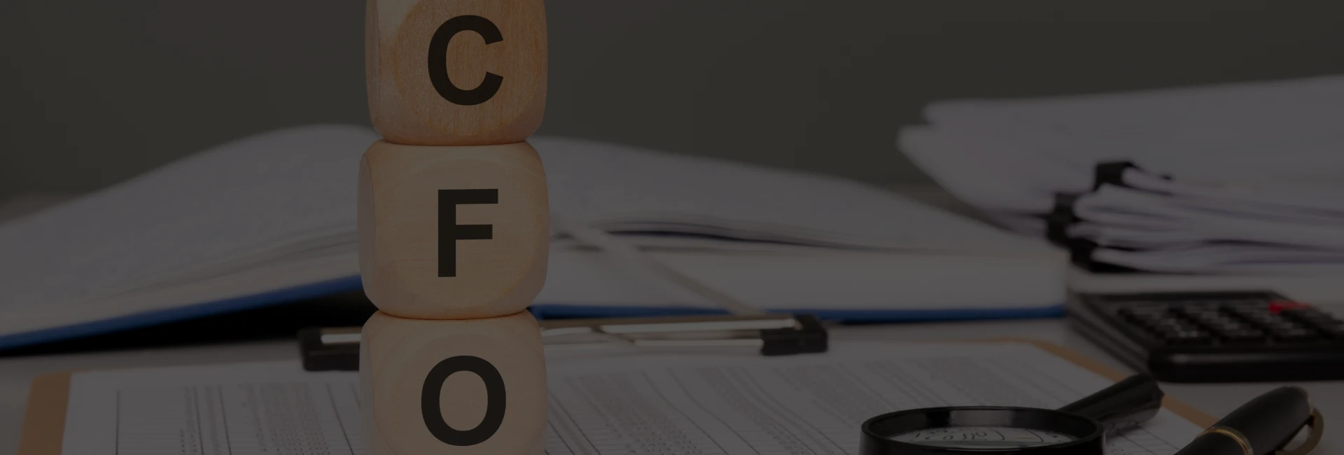 Fractional CFO Services Mississauga