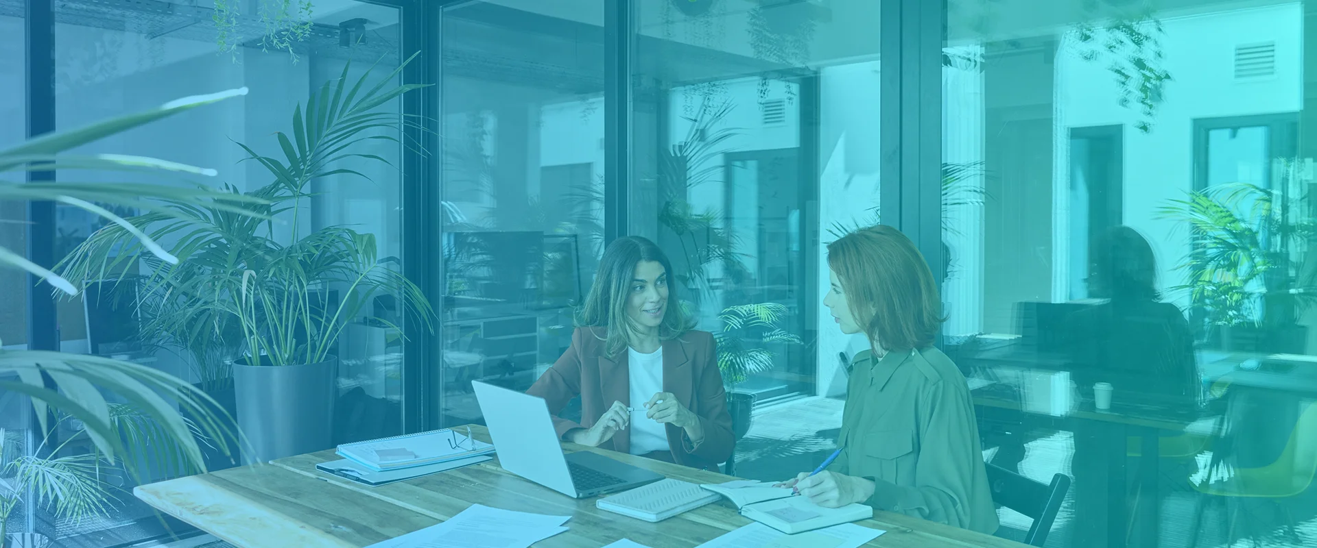 Digital Marketing Agency Toronto