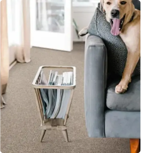 Get Your Free Carpet Installation Quote