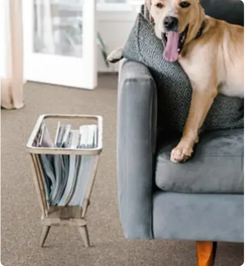 Get Your Free Carpet Flooring Quote