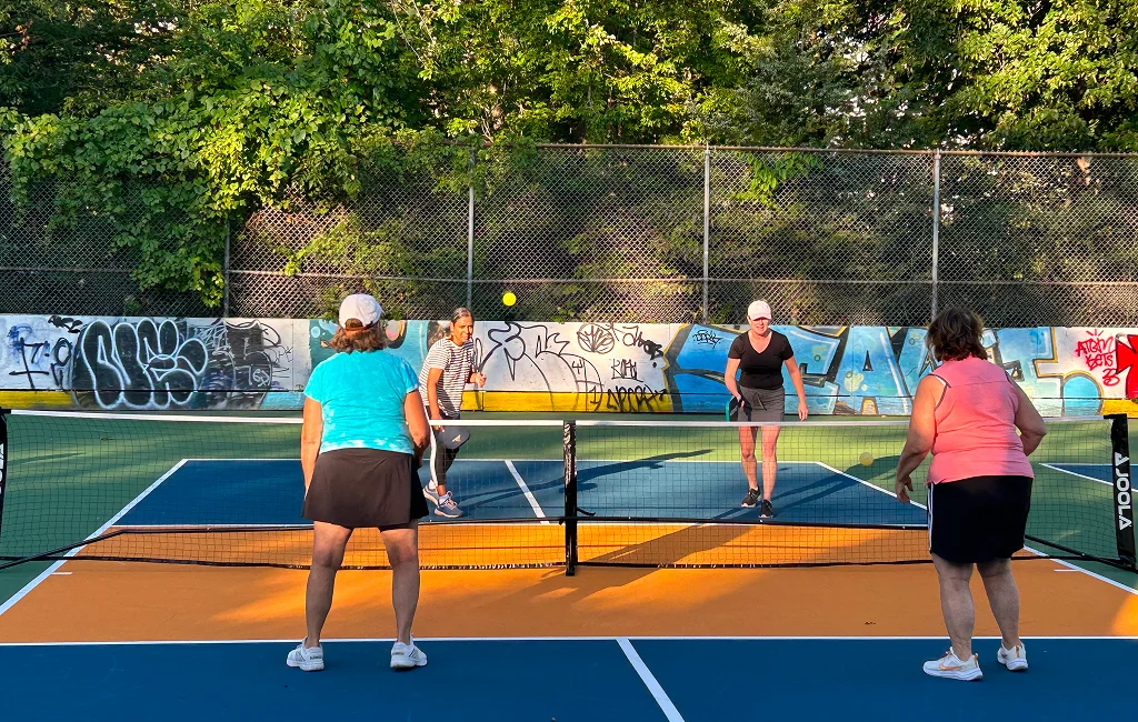 private pickleball lessons
