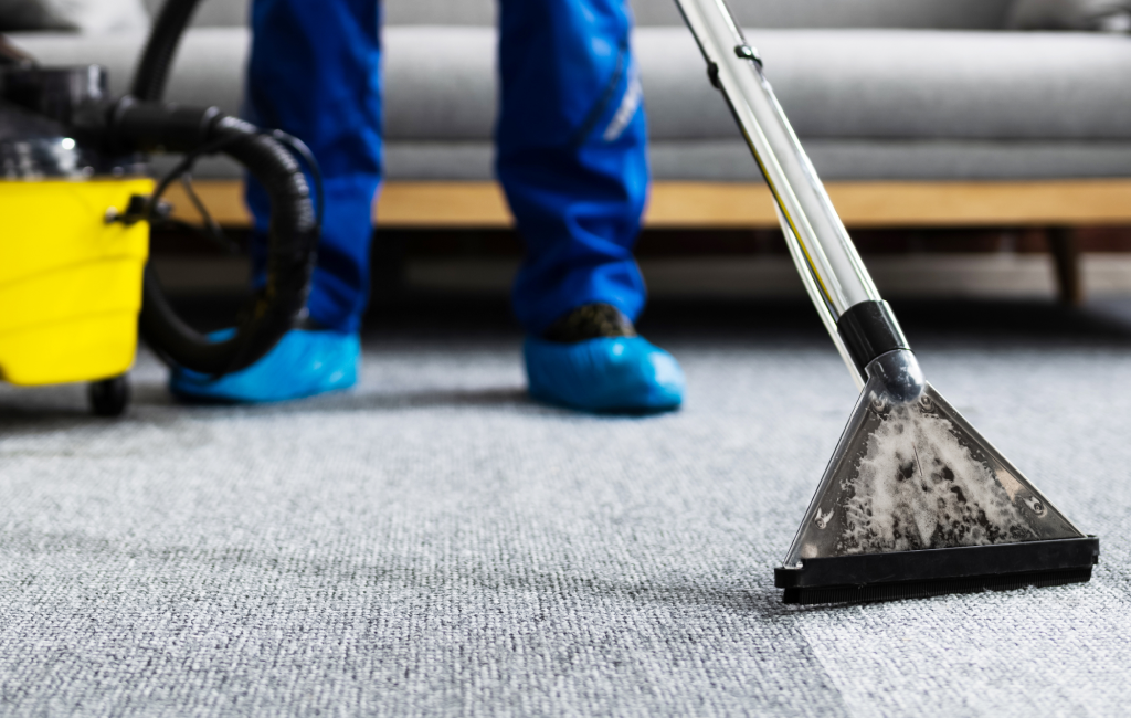 Carpet Stain Removal Services