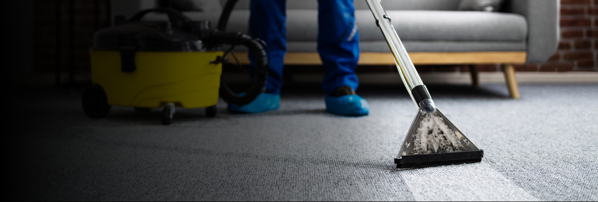 Carpet Stain Removal Services