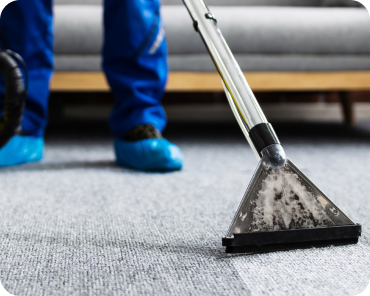 Carpet Cleaning Services Albuquerque