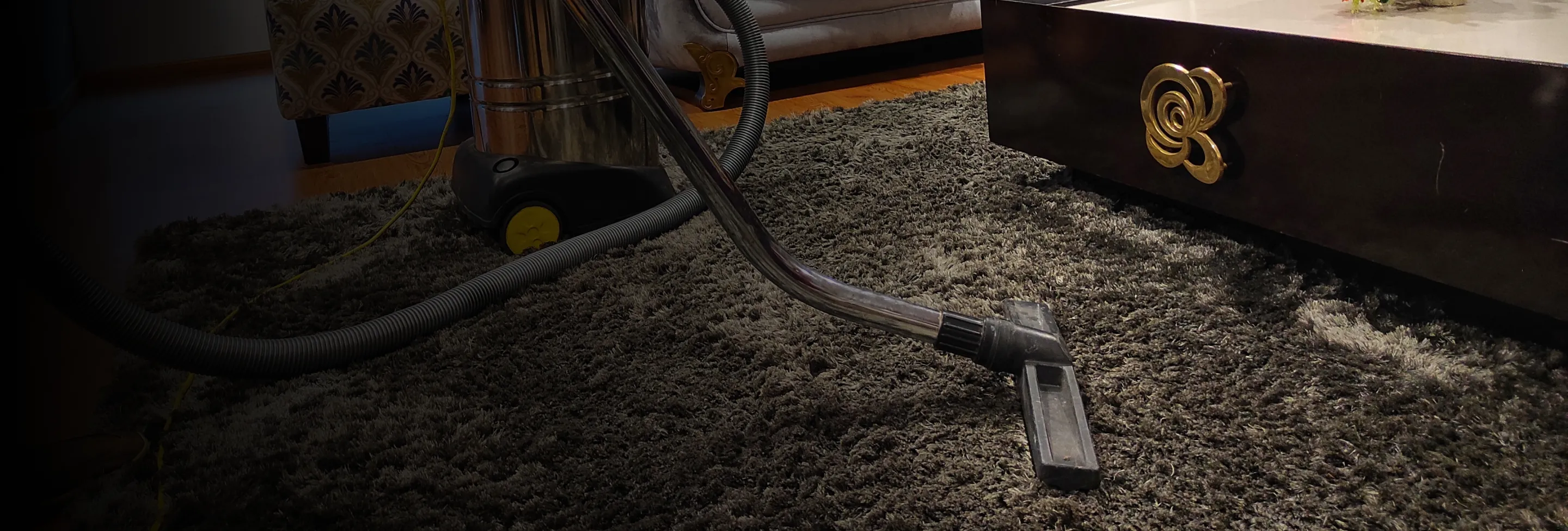 Carpet Cleaning Services High Desert