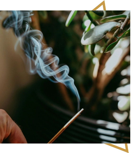 An emotional mastery coach guiding nervous system regulation