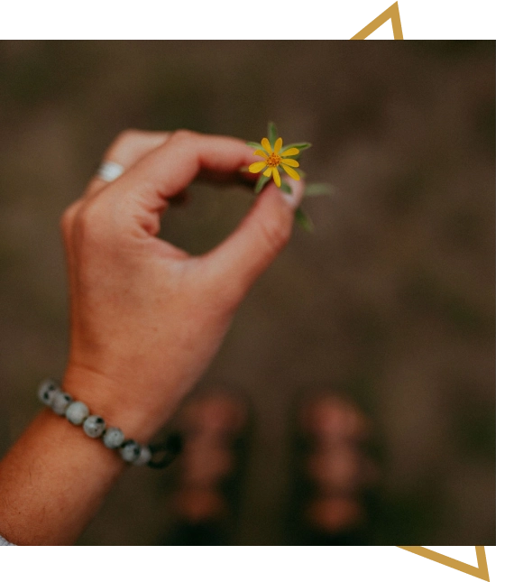 Mind-body coaching programs for emotional regulation