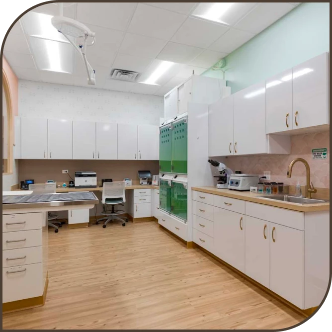 Veterinary Hospitals