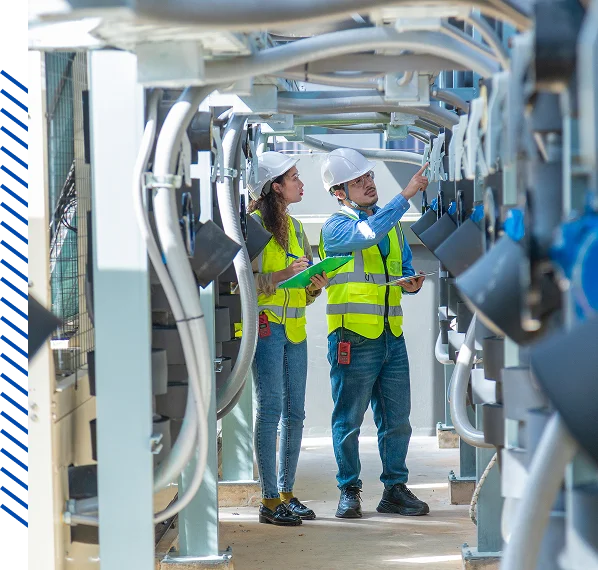 Reliable, Owner-led Consultations