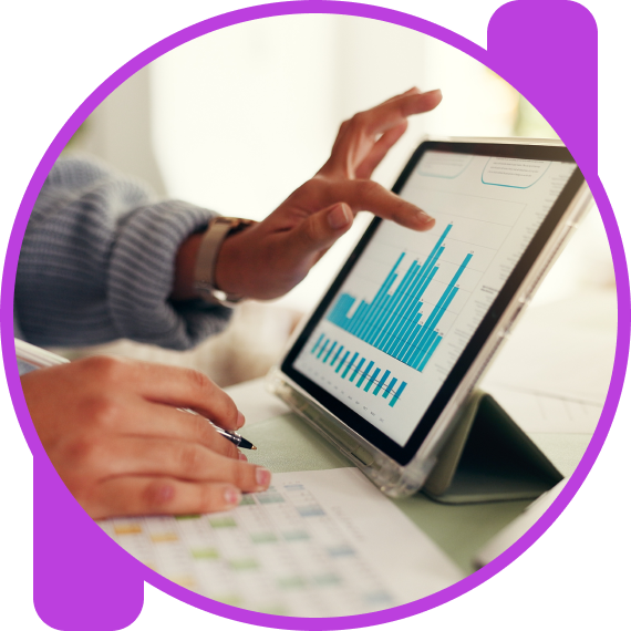 Full Visibility with Monthly Insights