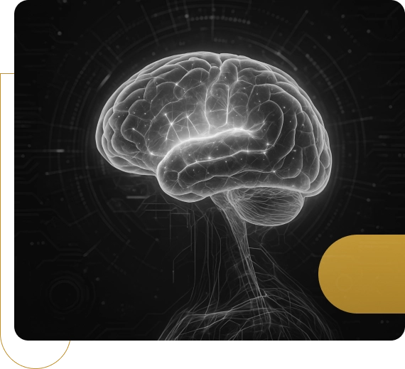 Medical expert preparing neurology report for litigation