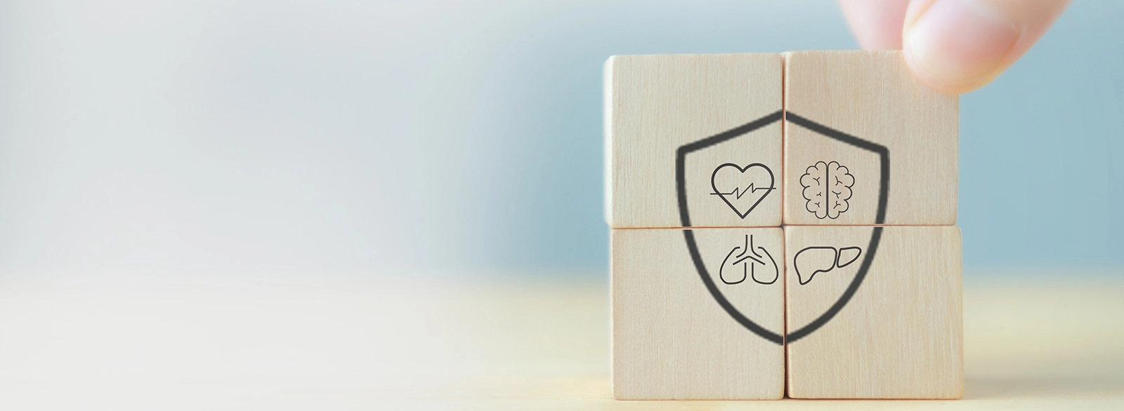 Insurance Solutions Tailored for You - Camlife Financial Corp