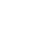 Flying Pig